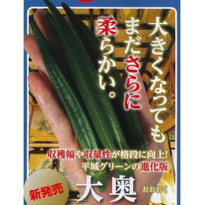 画像2: [オクラ]　大奥　2000粒　ナント種苗（株）