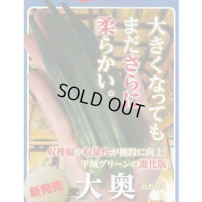 画像2: 送料無料　[オクラ]　大奥　1万粒　ナント種苗(株)