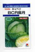 送料無料　[キャベツ]　ＢＣＲ龍月　160粒　タキイ種苗(株)　DF