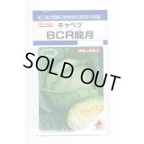 送料無料　[キャベツ]　ＢＣＲ龍月　160粒　タキイ種苗(株)　DF