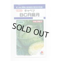 送料無料　[キャベツ]　ＢＣＲ龍月　160粒　タキイ種苗(株)　DF