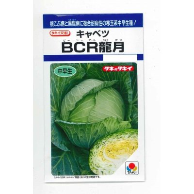 画像1: [キャベツ]　ＢＣＲ龍月　160粒　タキイ種苗（株）　DF