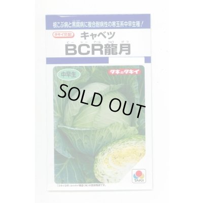 画像1: 送料無料　[キャベツ]　ＢＣＲ龍月　160粒　タキイ種苗(株)　DF