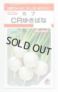 送料無料　[かぶ]　CRゆきばな　3ml　タキイ種苗(株)　RF