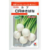 送料無料　[かぶ]　CRゆきばな　3ml　タキイ種苗(株)　RF