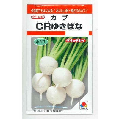 画像1: 送料無料　[かぶ]　CRゆきばな　3ml　タキイ種苗(株)　RF