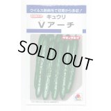 送料無料　[キュウリ]　Ｖアーチ　10粒　タキイ種苗(株)　DF