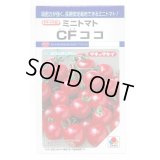 送料無料　[トマト/ミニトマト]　CFココ　16粒　タキイ種苗　DF