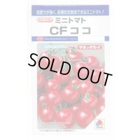 送料無料　[トマト/ミニトマト]　CFココ　16粒　タキイ種苗　DF
