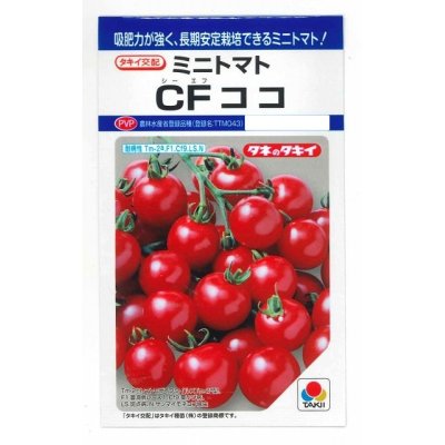 画像1: [トマト/ミニトマト]　CFココ　16粒　タキイ種苗　DF　