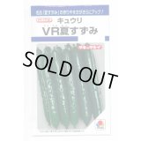 送料無料　[キュウリ]　ＶＲ夏すずみ　13粒　タキイ種苗(株)　DF