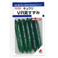 [キュウリ]　ＶＲ夏すずみ　13粒　タキイ種苗（株）　DF　