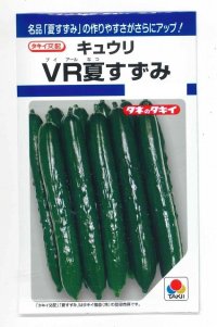 [キュウリ]　ＶＲ夏すずみ　13粒　タキイ種苗（株）　DF　