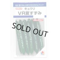 送料無料　[キュウリ]　ＶＲ夏すずみ　13粒　タキイ種苗(株)　DF