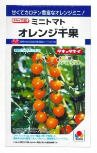 送料無料　[トマト/ミニトマト]　オレンジ千果　小袋(16粒)　タキイ種苗(株)　DF