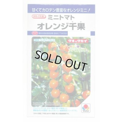 画像1: 送料無料　[トマト/ミニトマト]　オレンジ千果　小袋(16粒)　タキイ種苗(株)　DF