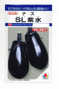 [なす]　ＳＬ紫水　35粒　タキイ種苗（株）　DF　