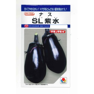 画像1: [なす]　ＳＬ紫水　35粒　タキイ種苗（株）　DF　