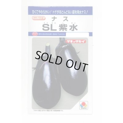 画像1: 送料無料　[なす]　ＳL紫水　35粒　タキイ種苗(株)　DF
