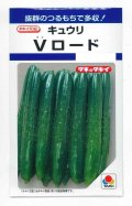 送料無料　[キュウリ]　Vロード　10粒　タキイ種苗(株)　DF