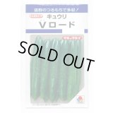 送料無料　[キュウリ]　Vロード　10粒　タキイ種苗(株)　DF