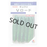 送料無料　[キュウリ]　Vロード　10粒　タキイ種苗(株)　DF