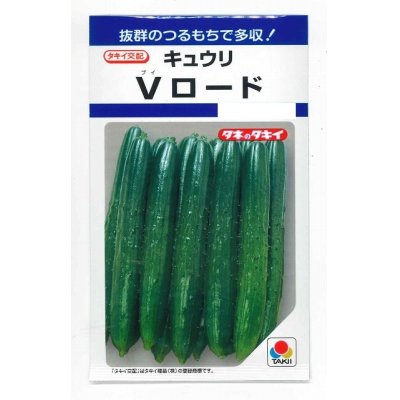 画像1: [キュウリ]　Vロード  10粒　タキイ種苗（株）　DF