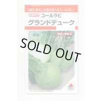 送料無料　[キャベツ]　コールラビ　グランドデューク　1.3ml　タキイ種苗(株)　RF