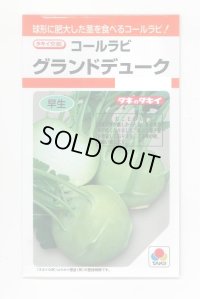 送料無料　[キャベツ]　コールラビ　グランドデューク　1.3ml　タキイ種苗(株)　RF