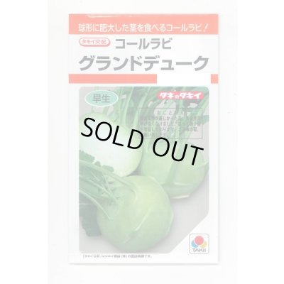 画像1: 送料無料　[キャベツ]　コールラビ　グランドデューク　1.3ml　タキイ種苗(株)　RF