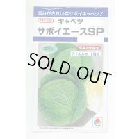 送料無料　[キャベツ]　サボイエースSP　160粒　タキイ種苗(株)　DF