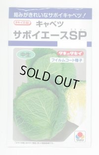 送料無料　[キャベツ]　サボイエースSP　160粒　タキイ種苗(株)　DF