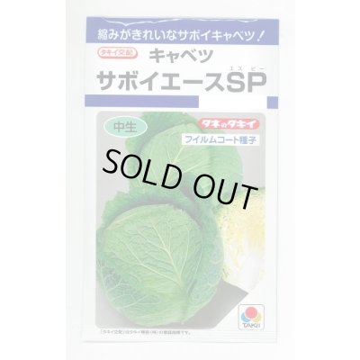 画像1: [キャベツ] サボイエースSP 160粒 タキイ種苗(株) DF