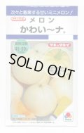 送料無料　[メロン]　かわい〜ナ　8粒　タキイ種苗(株)　DF
