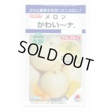 送料無料　[メロン]　かわい〜ナ　8粒　タキイ種苗(株)　DF