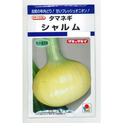 画像1: 送料無料　[たまねぎ]　シャルム　5ml(約460粒)　タキイ種苗(株)　DF