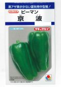 送料無料　[ピーマン]　京波　45粒　タキイ種苗(株)　DF