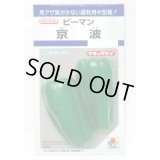 送料無料　[ピーマン]　京波　45粒　タキイ種苗(株)　DF