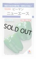 送料無料　[ピーマン]　ニューエース　60粒　タキイ種苗(株)　DF