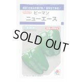 送料無料　[ピーマン]　ニューエース　60粒　タキイ種苗(株)　DF