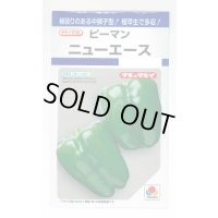 送料無料　[ピーマン]　ニューエース　60粒　タキイ種苗(株)　DF