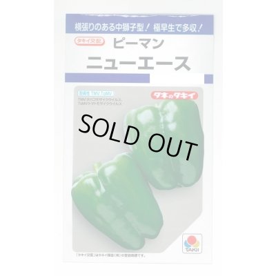 画像1: 送料無料　[ピーマン]　ニューエース　60粒　タキイ種苗(株)　DF