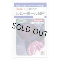 [キャベツ] ルビーボールSP 130粒 タキイ種苗 DF