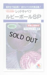 [キャベツ] ルビーボールSP 130粒 タキイ種苗 DF
