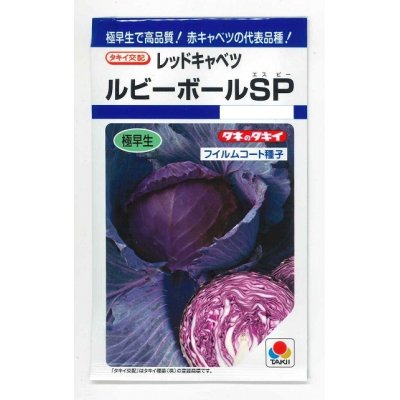 画像1: [キャベツ]　ルビーボールSP　130粒　タキイ種苗　DF