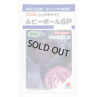 画像1: [キャベツ] ルビーボールSP 130粒 タキイ種苗 DF