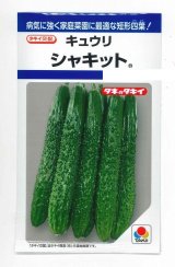 送料無料　[キュウリ]　シャキット　15粒　タキイ種苗(株)　DF