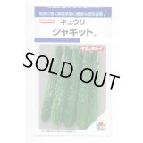 送料無料　[キュウリ]　シャキット　15粒　タキイ種苗(株)　DF