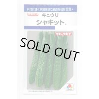 送料無料　[キュウリ]　シャキット　15粒　タキイ種苗(株)　DF