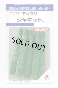 送料無料　[キュウリ]　シャキット　15粒　タキイ種苗(株)　DF
